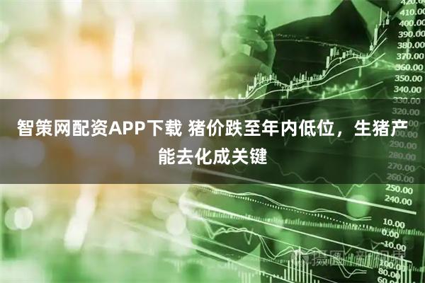 智策网配资APP下载 猪价跌至年内低位，生猪产能去化成关键