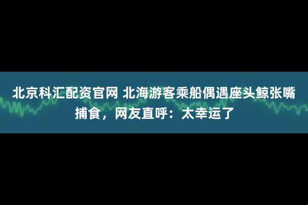 北京科汇配资官网 北海游客乘船偶遇座头鲸张嘴捕食，网友直呼：太幸运了
