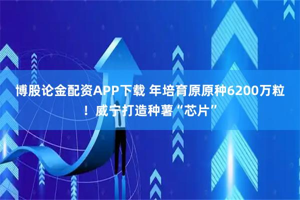 博股论金配资APP下载 年培育原原种6200万粒！威宁打造种薯“芯片”