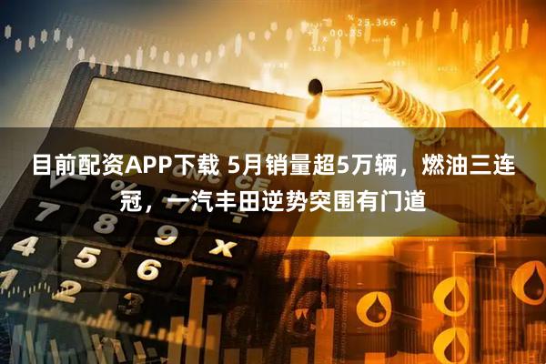 目前配资APP下载 5月销量超5万辆，燃油三连冠，一汽丰田逆势突围有门道